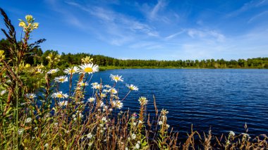 Göldeki bulutların yansıması