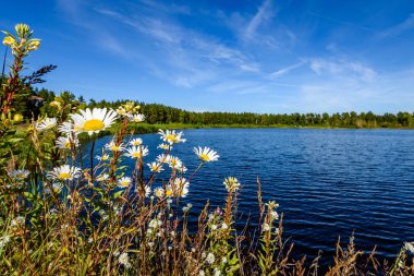 Göldeki bulutların yansıması