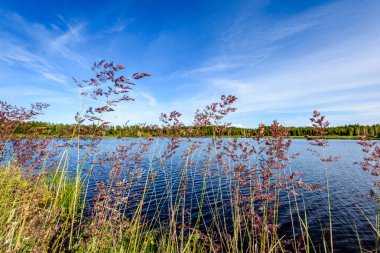 Göldeki bulutların yansıması