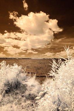 orman göl kenarında. Kızılötesi renkli görüntü