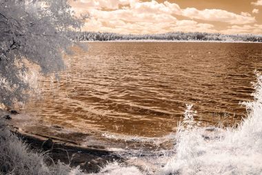 orman göl kenarında. Kızılötesi renkli görüntü