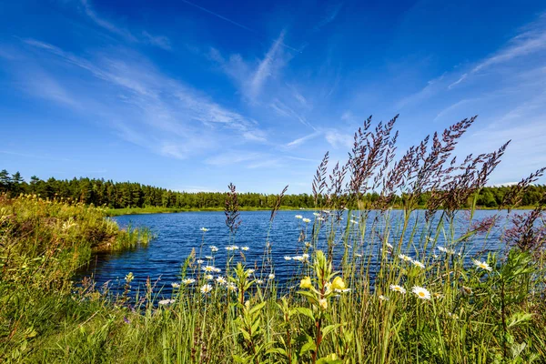 Göldeki bulutların yansıması