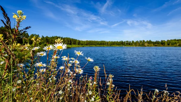 Göldeki bulutların yansıması