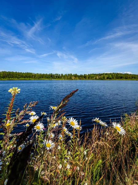 Göldeki bulutların yansıması