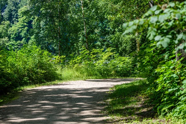 Romantische onverharde weg in groene boom bos — Stockfoto