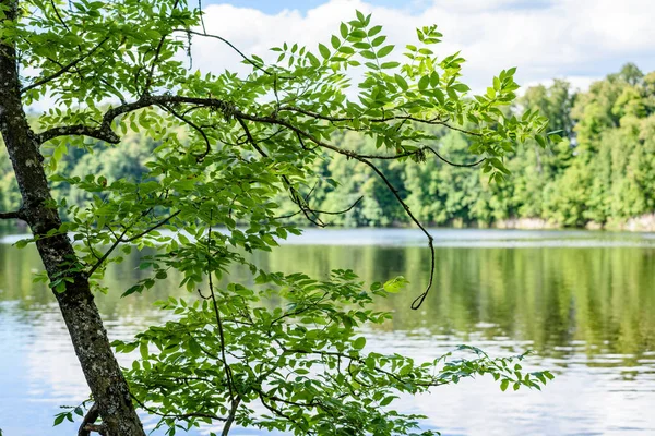 Göldeki bulutların yansıması