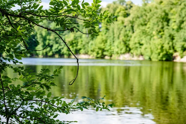 Göldeki bulutların yansıması
