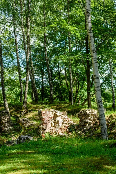 Eski taş castle Harabeleri — Stok fotoğraf