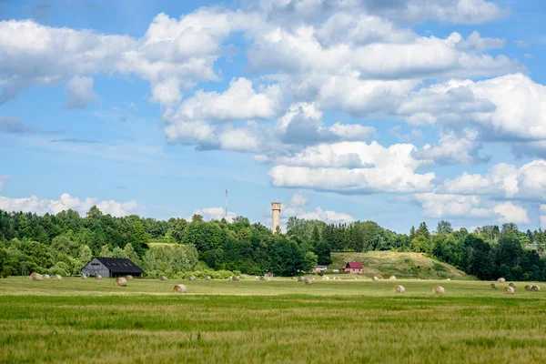 Sommerlandschaft mit Weizenfeld und Wolken — Stockfoto