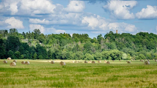 Sommarlandskap med vetefält och moln — Stockfoto