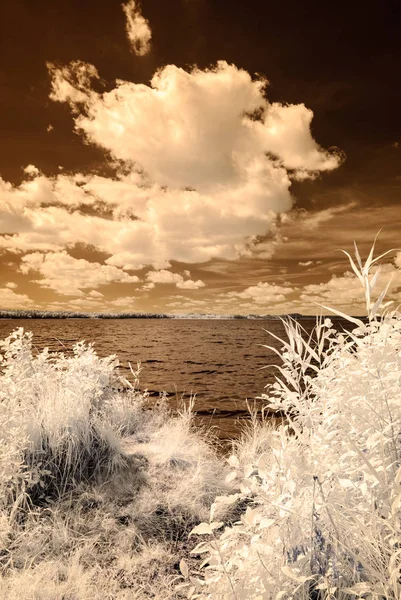 orman göl kenarında. Kızılötesi renkli görüntü