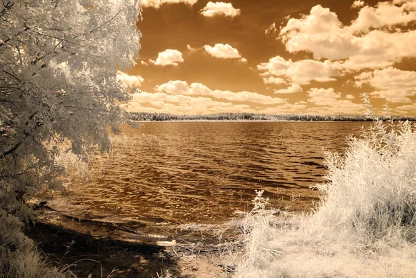 orman göl kenarında. Kızılötesi renkli görüntü