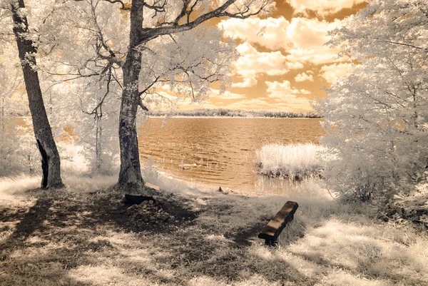 Bosque junto al lago. imagen de color infrarrojo —  Fotos de Stock