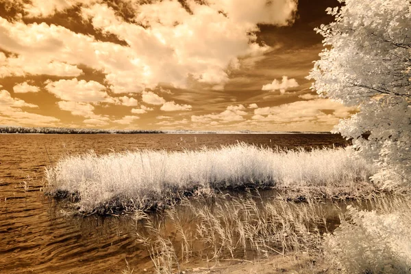 湖の森。赤外線の色イメージ — ストック写真