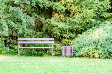 güzel park sonbahar tezgah