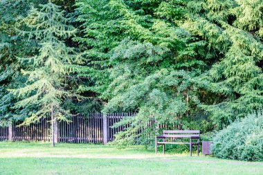 güzel park sonbahar tezgah