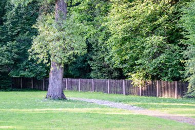 güzel park sonbahar tezgah