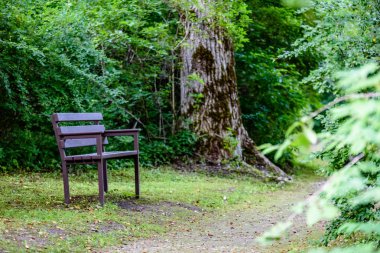 güzel park sonbahar tezgah