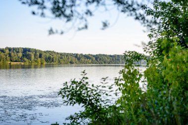 Gölün su çim ile bulutlu gün