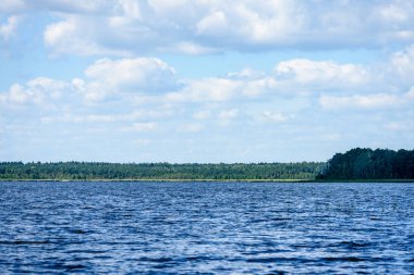 Gölün su çim ile bulutlu gün