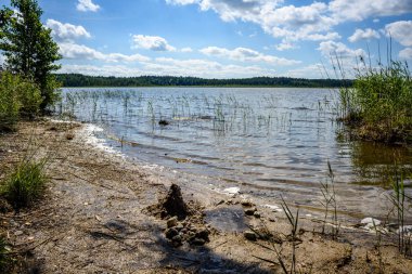 Gölün su çim ile bulutlu gün