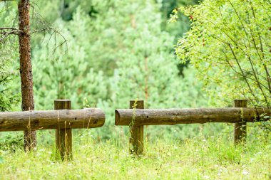 sonbaharın güzel Park'taki eski ahşap çit