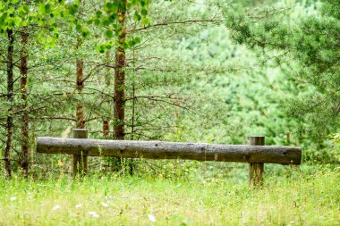 sonbaharın güzel Park'taki eski ahşap çit