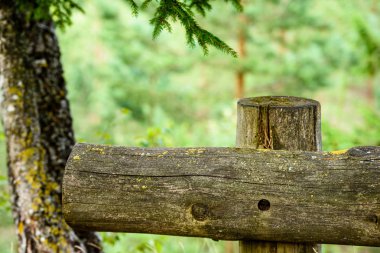sonbaharın güzel Park'taki eski ahşap çit