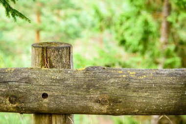 sonbaharın güzel Park'taki eski ahşap çit