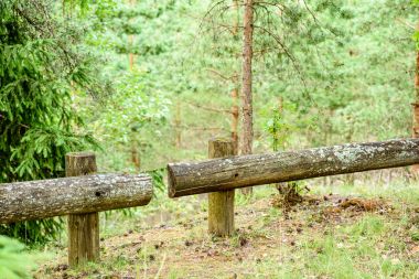 sonbaharın güzel Park'taki eski ahşap çit