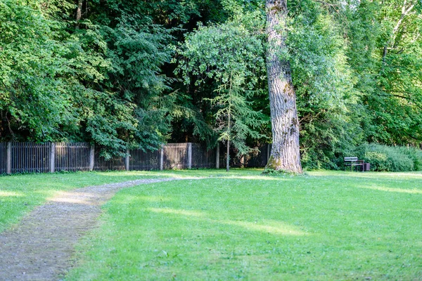güzel park sonbahar tezgah