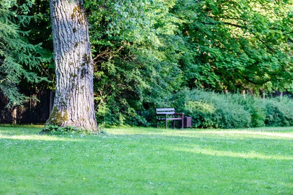 güzel park sonbahar tezgah