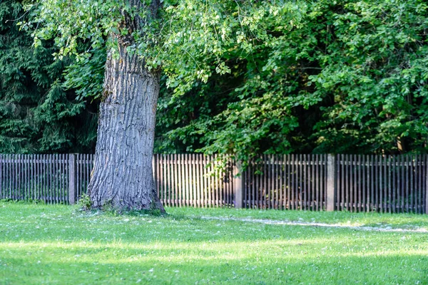 güzel park sonbahar tezgah