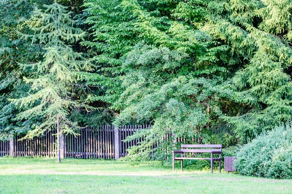 güzel park sonbahar tezgah