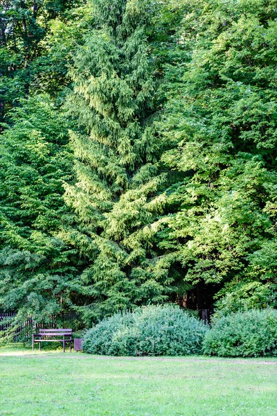 güzel park sonbahar tezgah