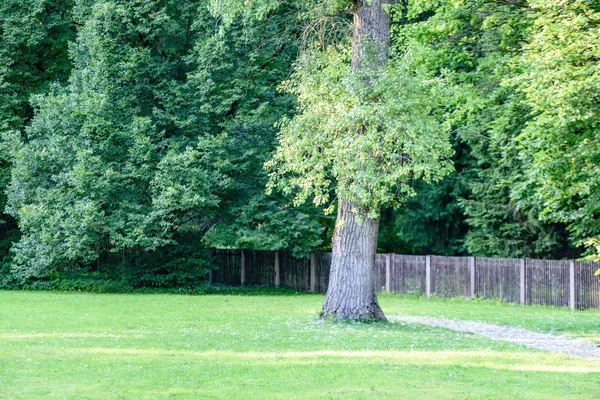 güzel park sonbahar tezgah