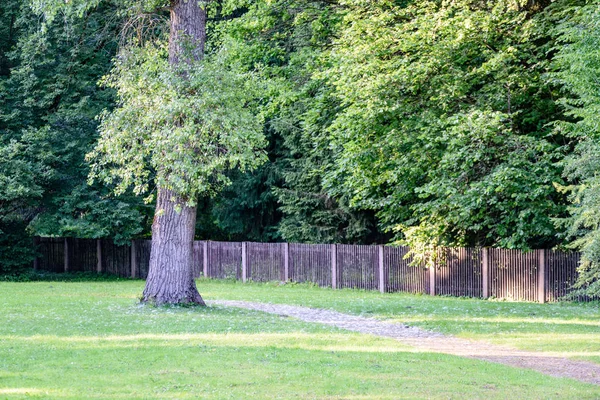 güzel park sonbahar tezgah