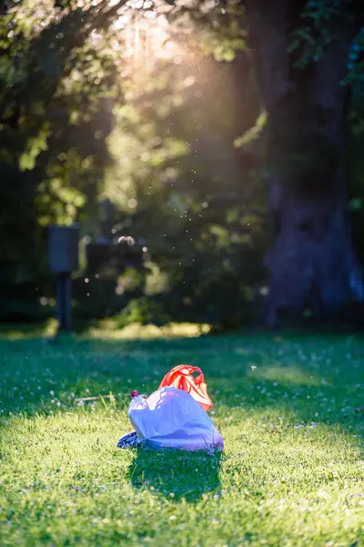 Abstrakta sommaren skog med plastpåse — Stockfoto