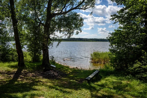 Dia nublado pelo lago com grama de água — Fotografia de Stock