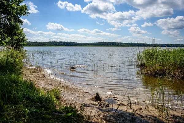 Gölün su çim ile bulutlu gün