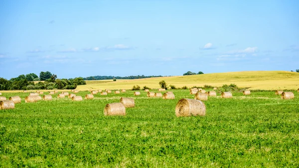 Sommerfeld mit Heuballen — Stockfoto