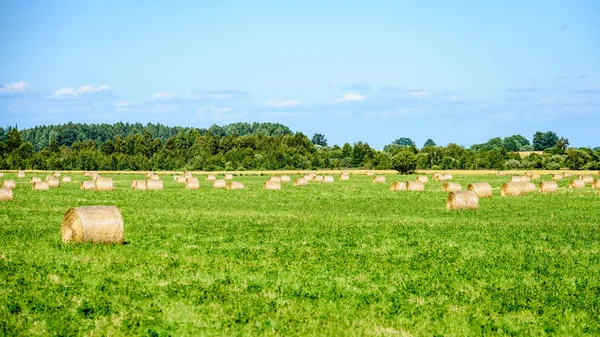 Campo de verano con rollos de heno —  Fotos de Stock