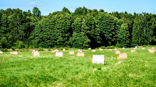 Sommaren sätter med rullar av hö — Stockfoto