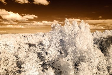 kırsal alanları ve ormanları. kızılötesi görüntü