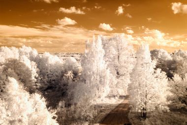 kırsal alanları ve ormanları. kızılötesi görüntü