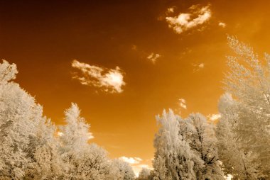 kırsal alanları ve ormanları. kızılötesi görüntü