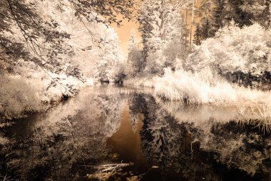 Göl yansımalar. kızılötesi görüntü