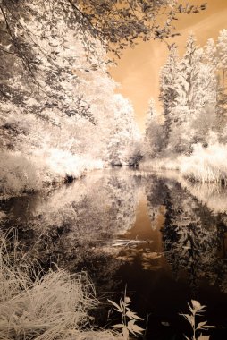 Göl yansımalar. kızılötesi görüntü