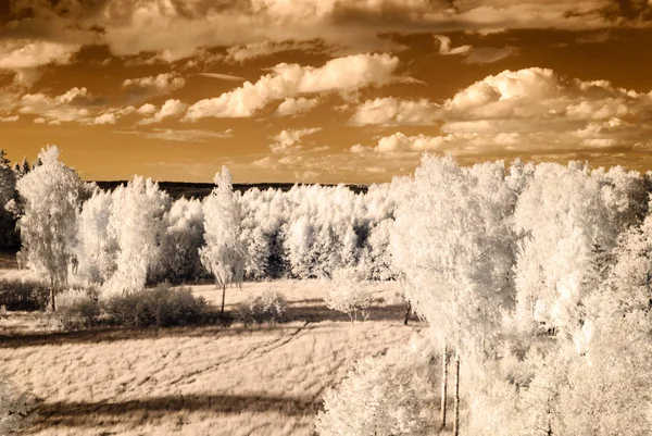 Campos rurales y bosques. imagen infrarroja —  Fotos de Stock