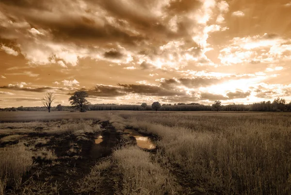 kırsal alanları ve ormanları. kızılötesi görüntü